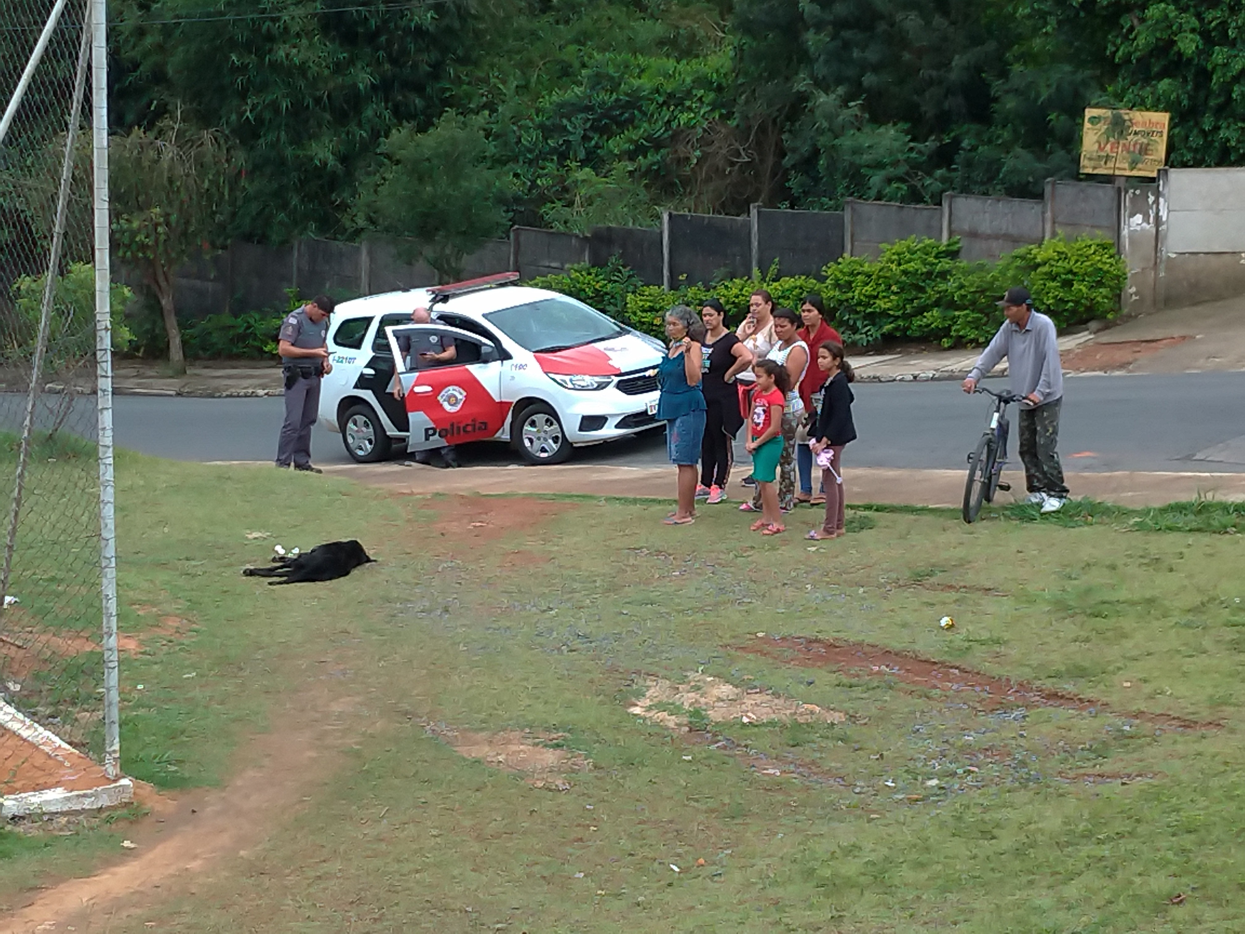 Pandemia de Covid-19 aumenta abandono de animais nas ruas