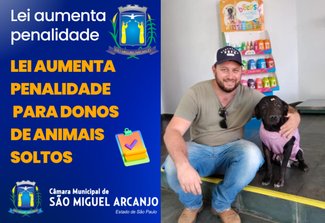 Vereador aumenta valor da penalidade para tutores de animais soltos e sem coleira