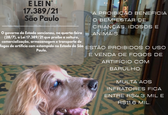 Estado sanciona Lei 17.389/21 que proibe a soltura, comercialização, armazenagem e transporte de fogos de artificio com estampido em São Paulo