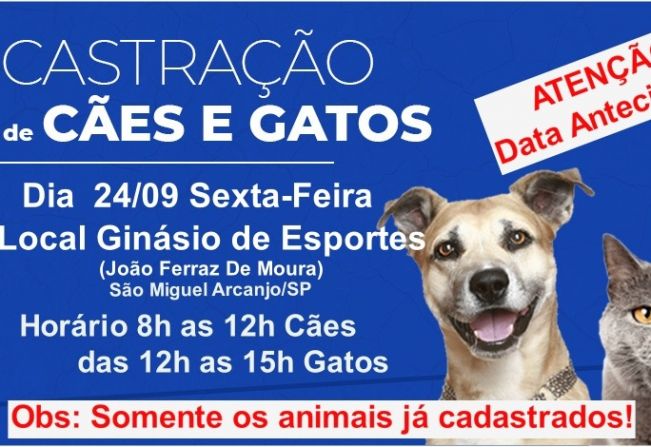 Castração gratuita de cães e gatos é antecipada para o dia 24 setembro