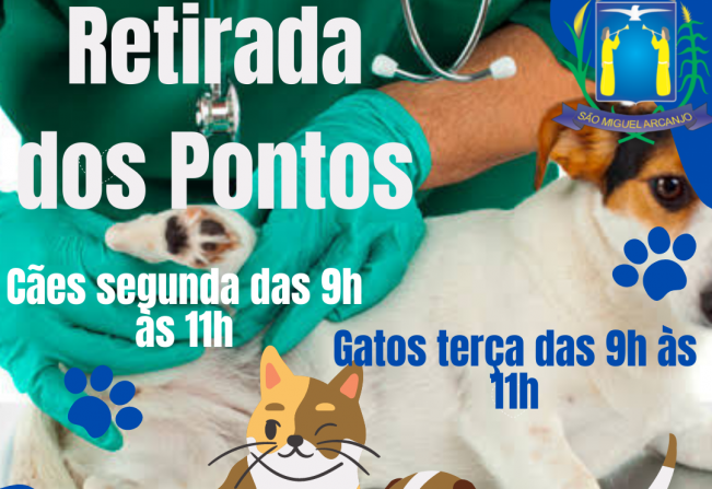 Vereador comunica a tutores para levar os animais para retirada dos pontos após castração