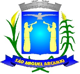 Brasão do município de São Miguel Arcanjo
